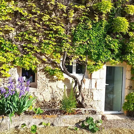 Les Iris - 2 D'hotes Et 2 Salles De Bain - 4 Personnes Bed & Breakfast 3*