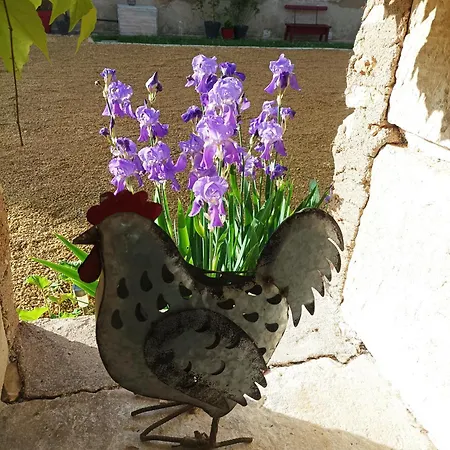 Bed & Breakfast Les Iris - 2 D'hotes Et 2 Salles De Bain - 4 Personnes 3*