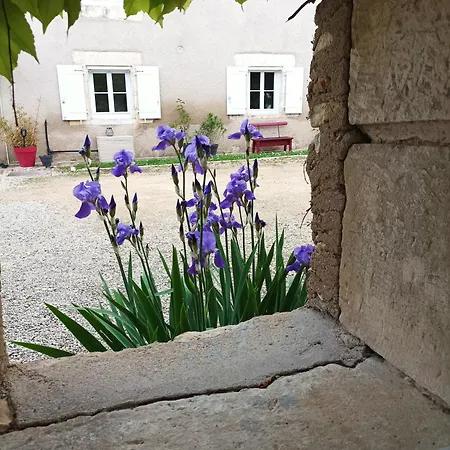 Les Iris - 2 D'hotes Et 2 Salles De Bain - 4 Personnes 3* アヴァントン